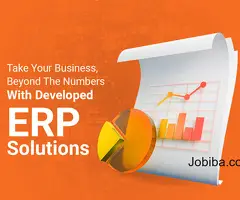 Are you looking for ERP Software in Dubai?
