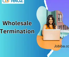 Security Measures in Wholesale Termination: Safeguarding Your Communication